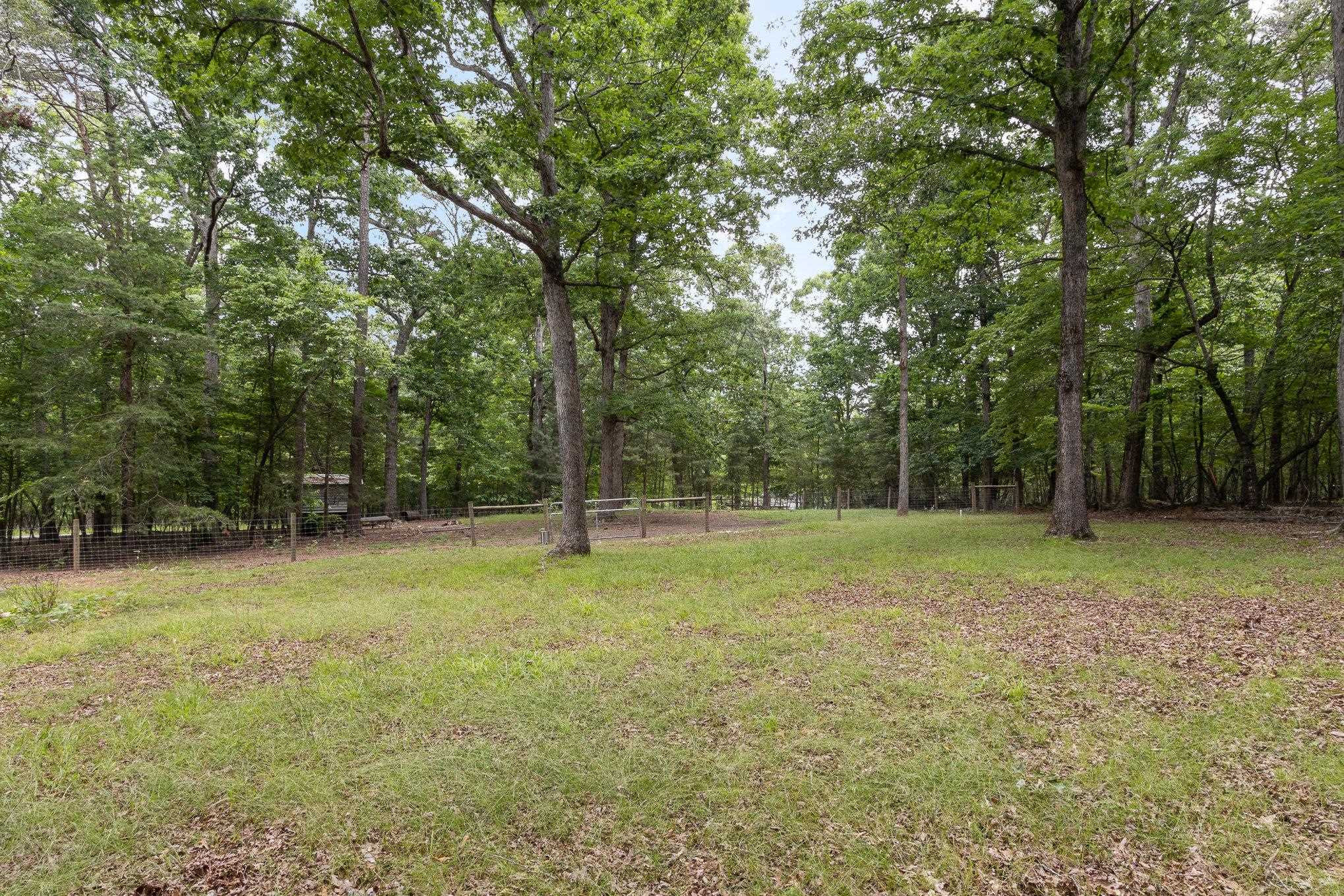 3200 Twin Streams Road Chapel Hill, NC 27516 - Photo 42 of 46 a view of a field with a tree