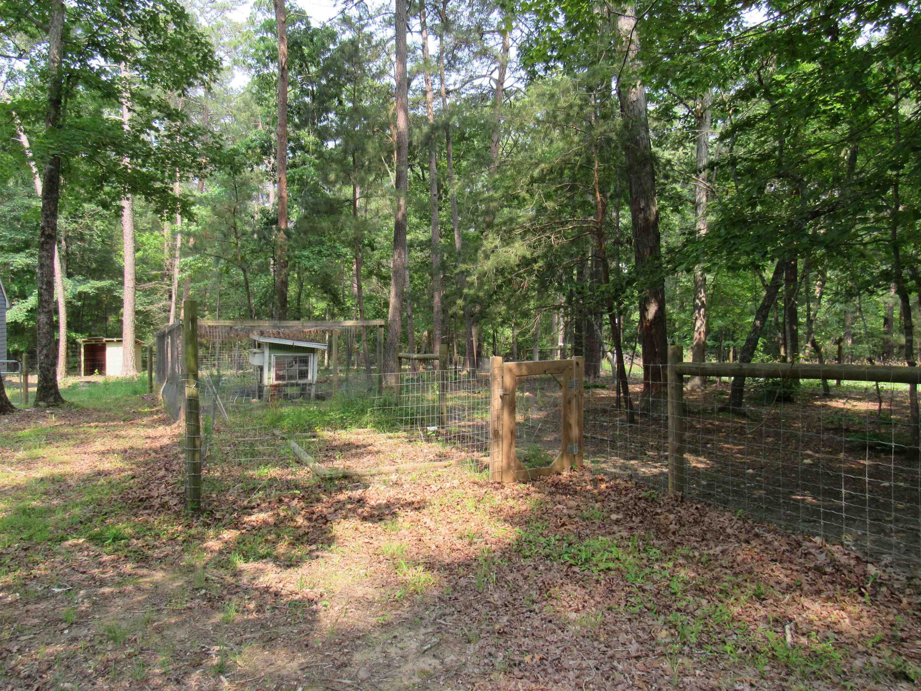 3200 Twin Streams Road Chapel Hill, NC 27516 - Photo 45 of 46 a backyard of a house with lots of green space