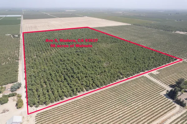 $1,600,000 | 24290 Ave 5, Madera, CA 93637