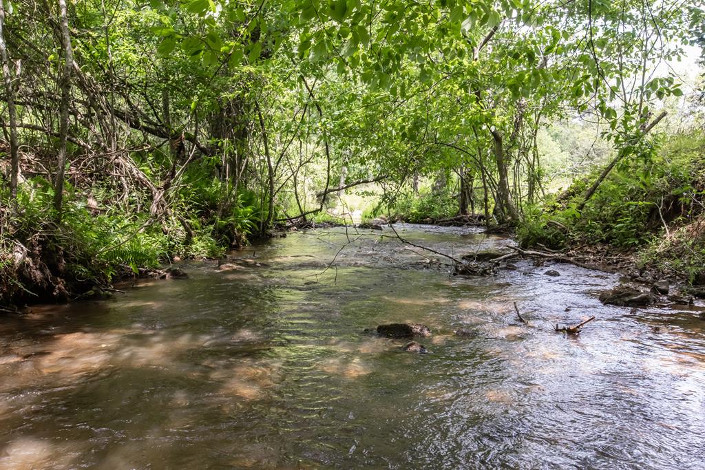 328 Black Ankle Creek Road Cherry Log, GA 30522 - Photo 65 of 103