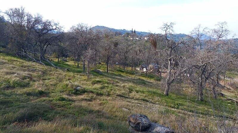 Iris Road Squaw Valley, CA 93675 - Photo 3 of 13 image000000