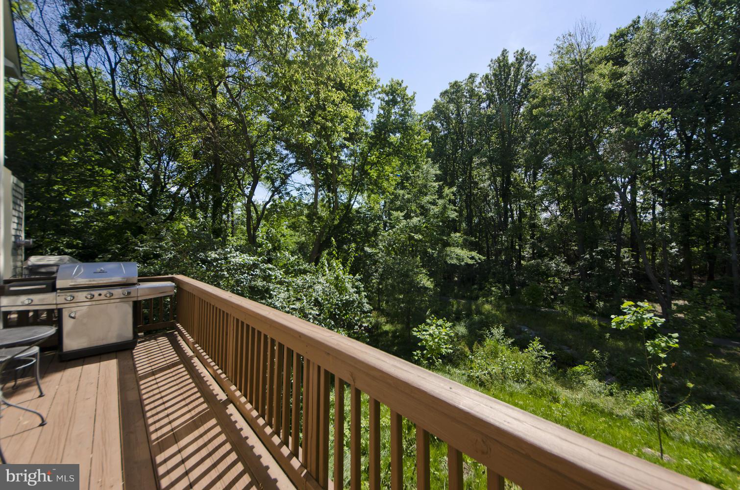 168 Rees Place Falls Church, VA 22046 - Photo 16 of 30 Beautiful Deck off of Kitchen