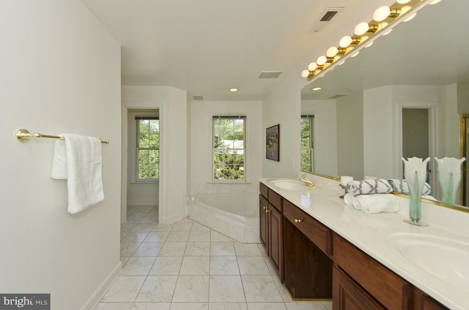 168 Rees Place Falls Church, VA 22046 - Photo 20 of 30 Bath (Master)