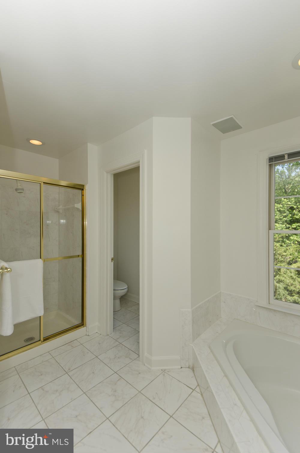 168 Rees Place Falls Church, VA 22046 - Photo 21 of 30 Bath (Master)