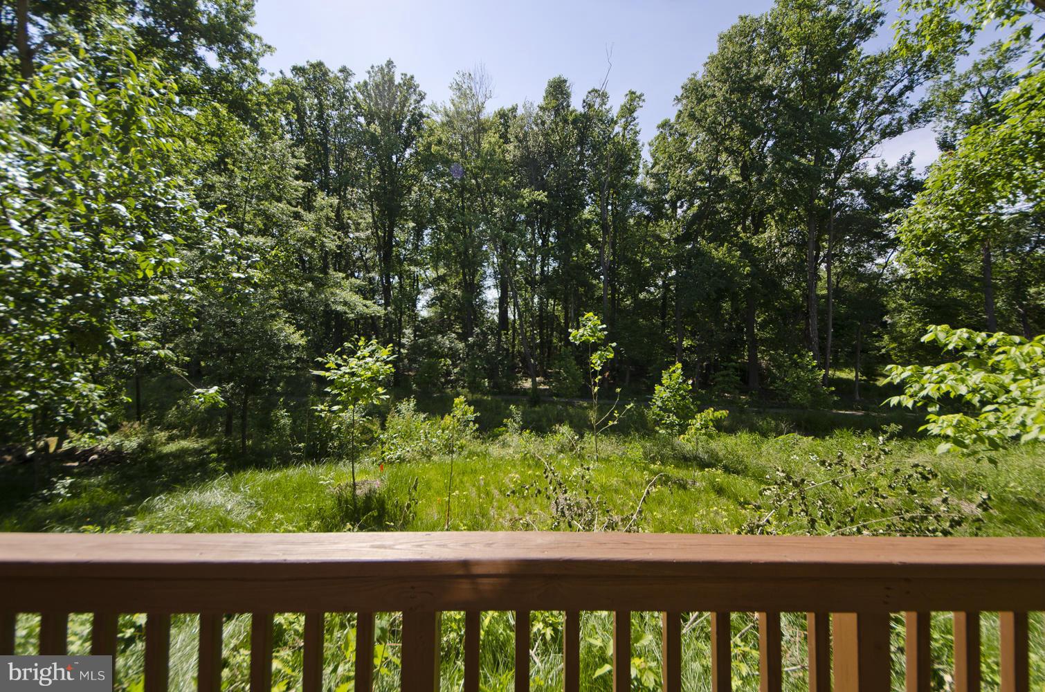 168 Rees Place Falls Church, VA 22046 - Photo 29 of 30 Exterior (Rear)