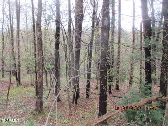 0 Spring & Yosts Road Ebensburg, PA 15931 - Photo 2 of 2 Gallery Image 2