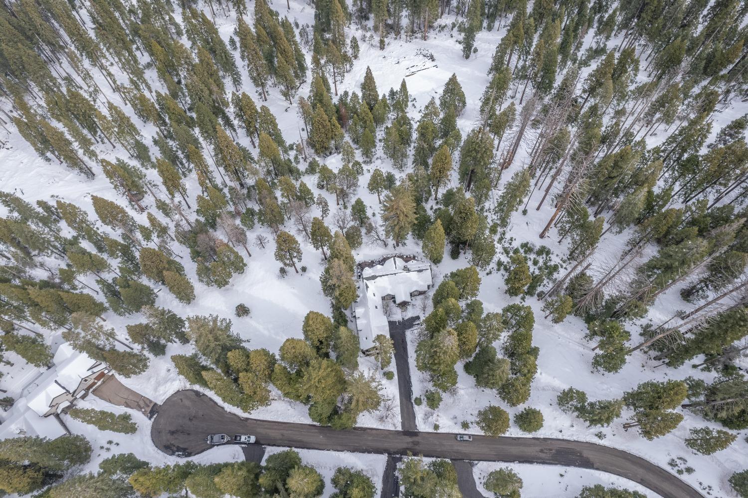 42676 Granite Circle Shaver Lake, CA 93664 - Photo 69 of 99 a picture of trees