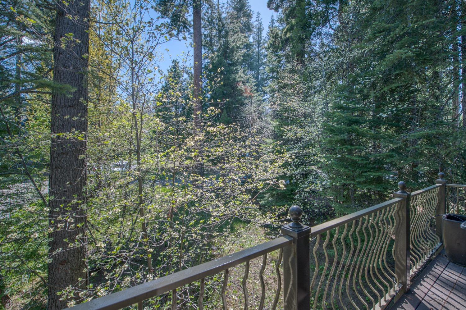 42676 Granite Circle Shaver Lake, CA 93664 - Photo 78 of 99