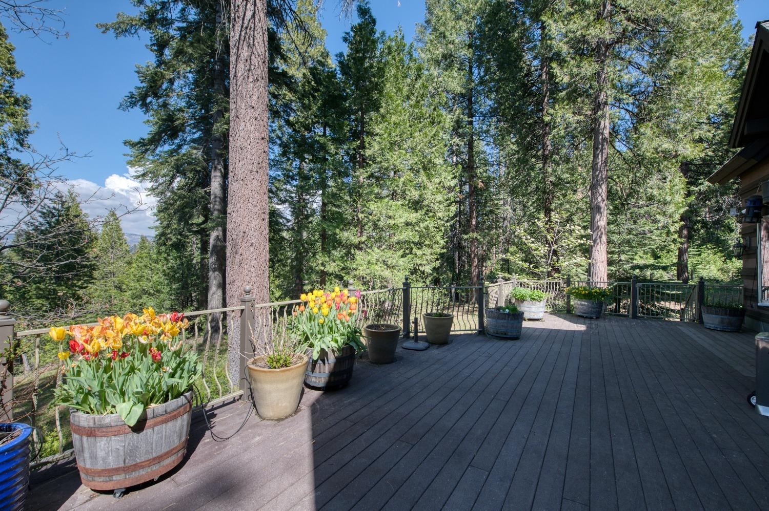 42676 Granite Circle Shaver Lake, CA 93664 - Photo 81 of 99 a view of a garden with potted plants