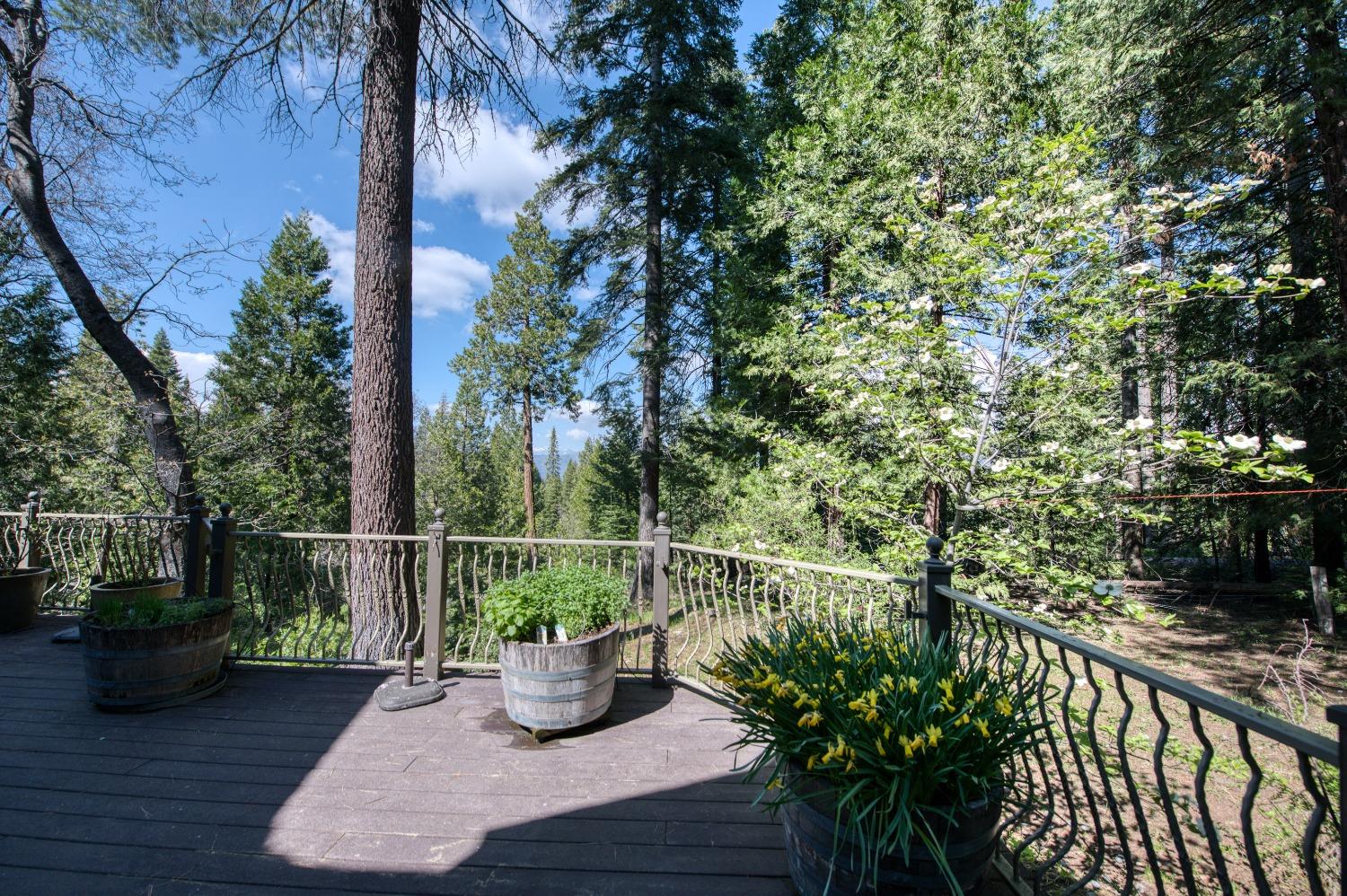 42676 Granite Circle Shaver Lake, CA 93664 - Photo 82 of 99 a view of balcony with furniture and potted plants