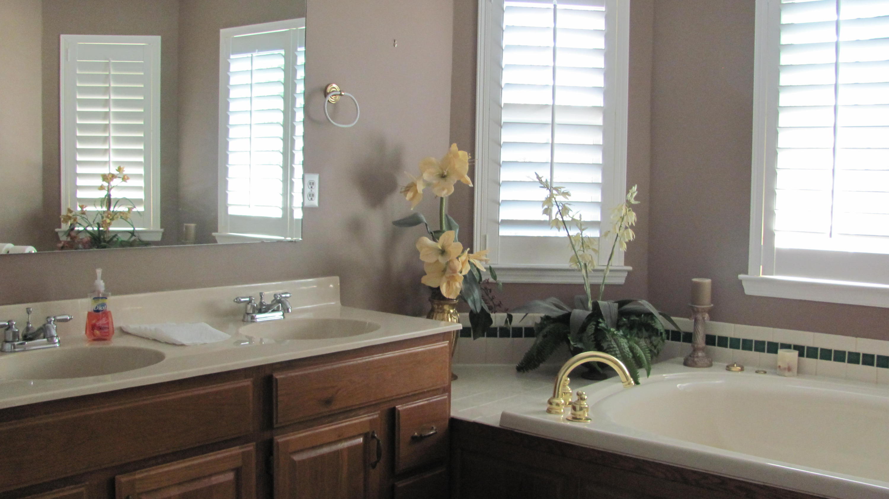 331 Hickory Ridge Trail Ringgold, GA 30736 - Photo 18 of 47 IMG_4488