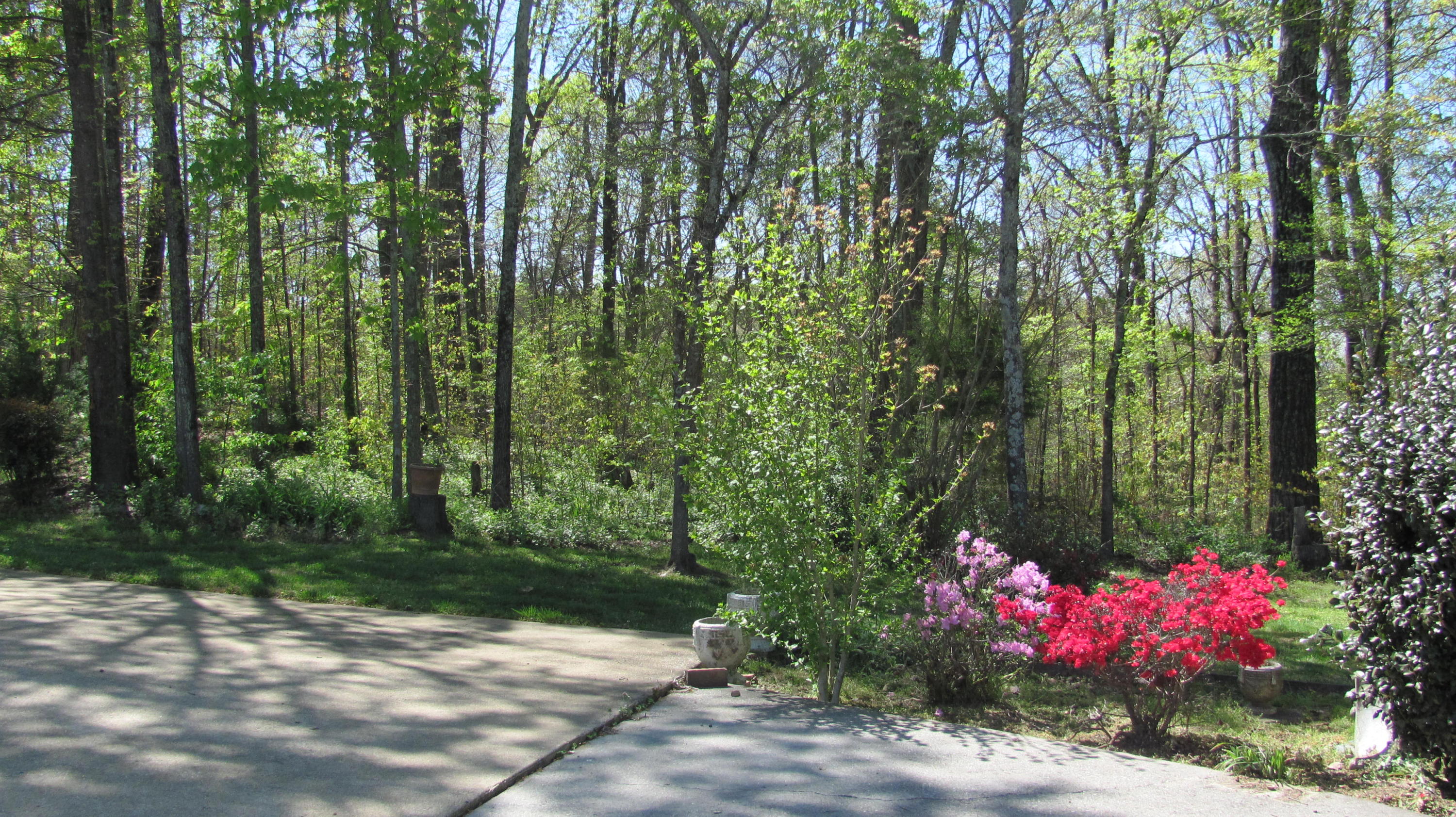 331 Hickory Ridge Trail Ringgold, GA 30736 - Photo 34 of 47 IMG_4468