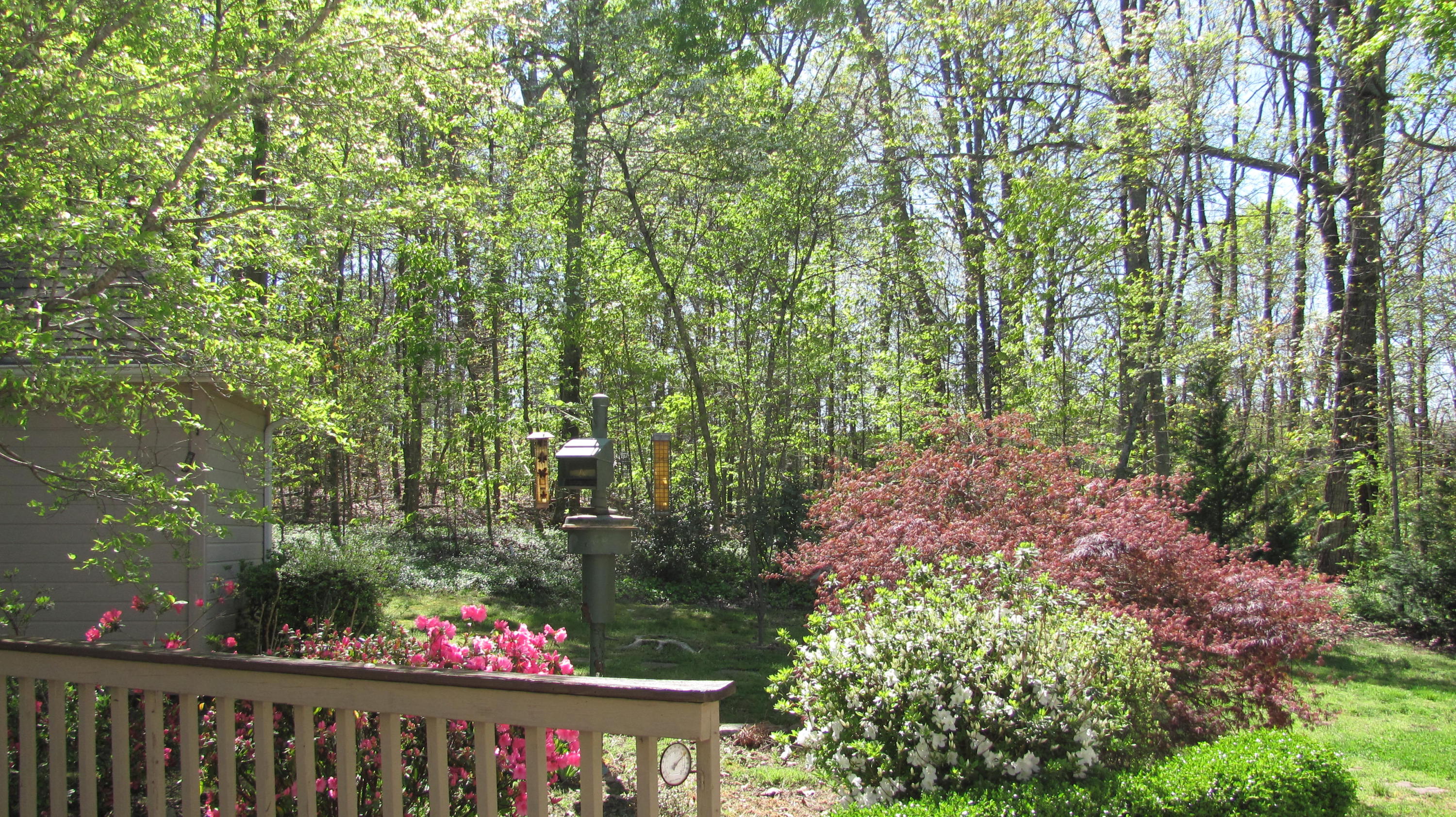 331 Hickory Ridge Trail Ringgold, GA 30736 - Photo 37 of 47 IMG_4475