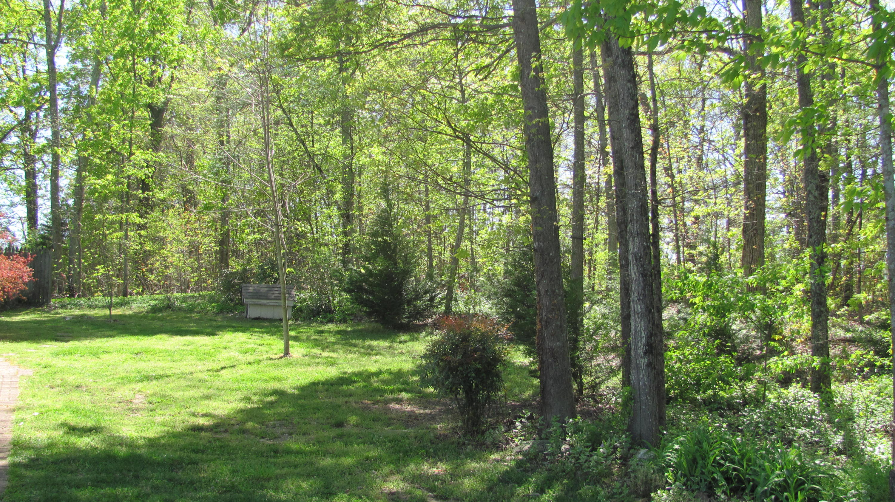 331 Hickory Ridge Trail Ringgold, GA 30736 - Photo 43 of 47 IMG_4470