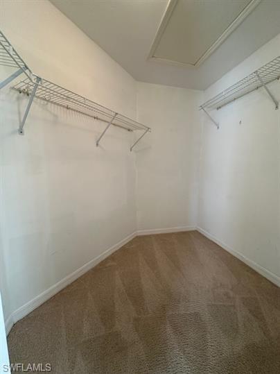 12691 Eagle Pointe Circle Fort Myers, FL 33913 - Photo 10 of 22 Walk in closet with carpet