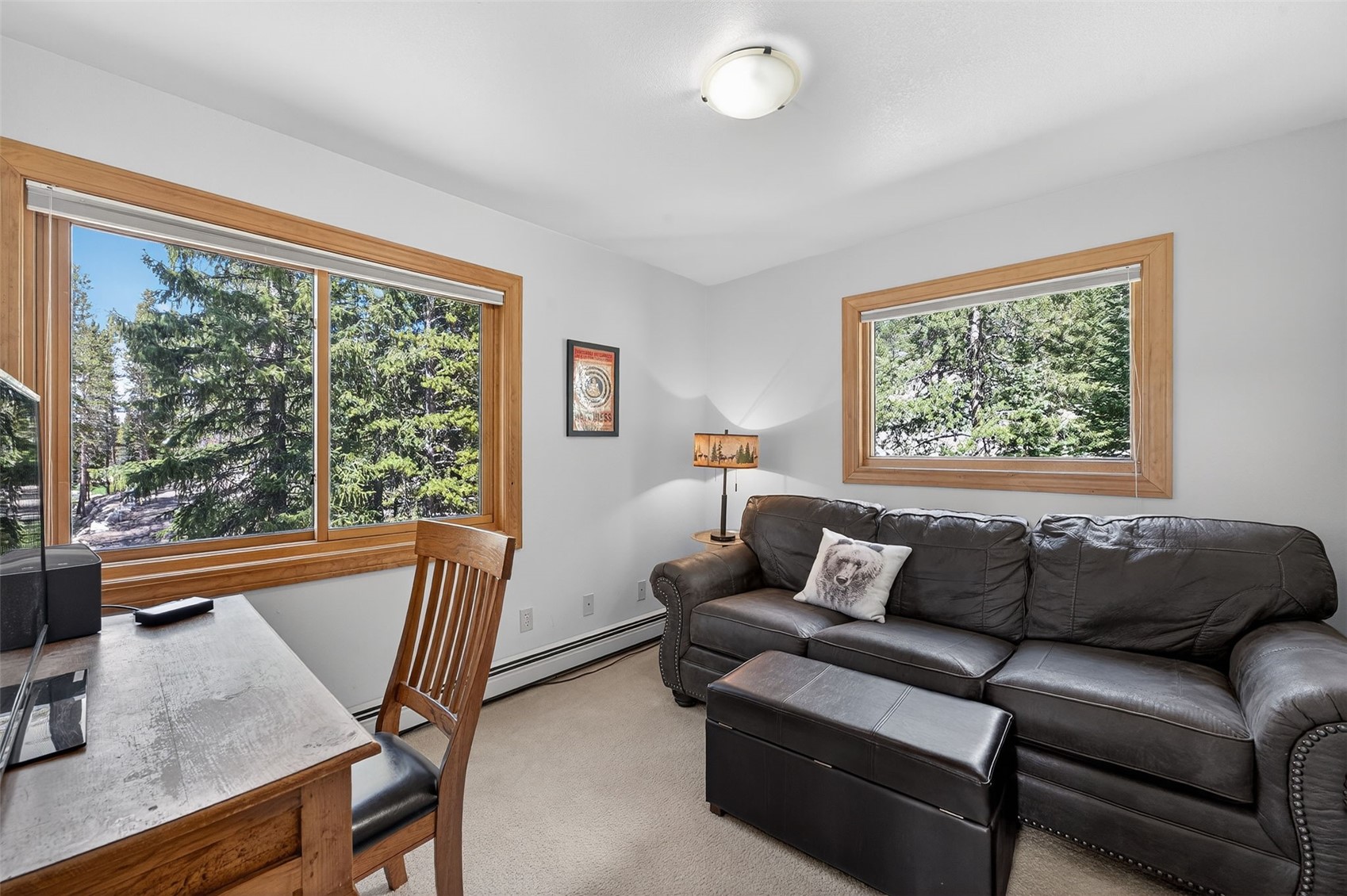 773 Range Road Breckenridge, CO 80424 - Photo 30 of 50