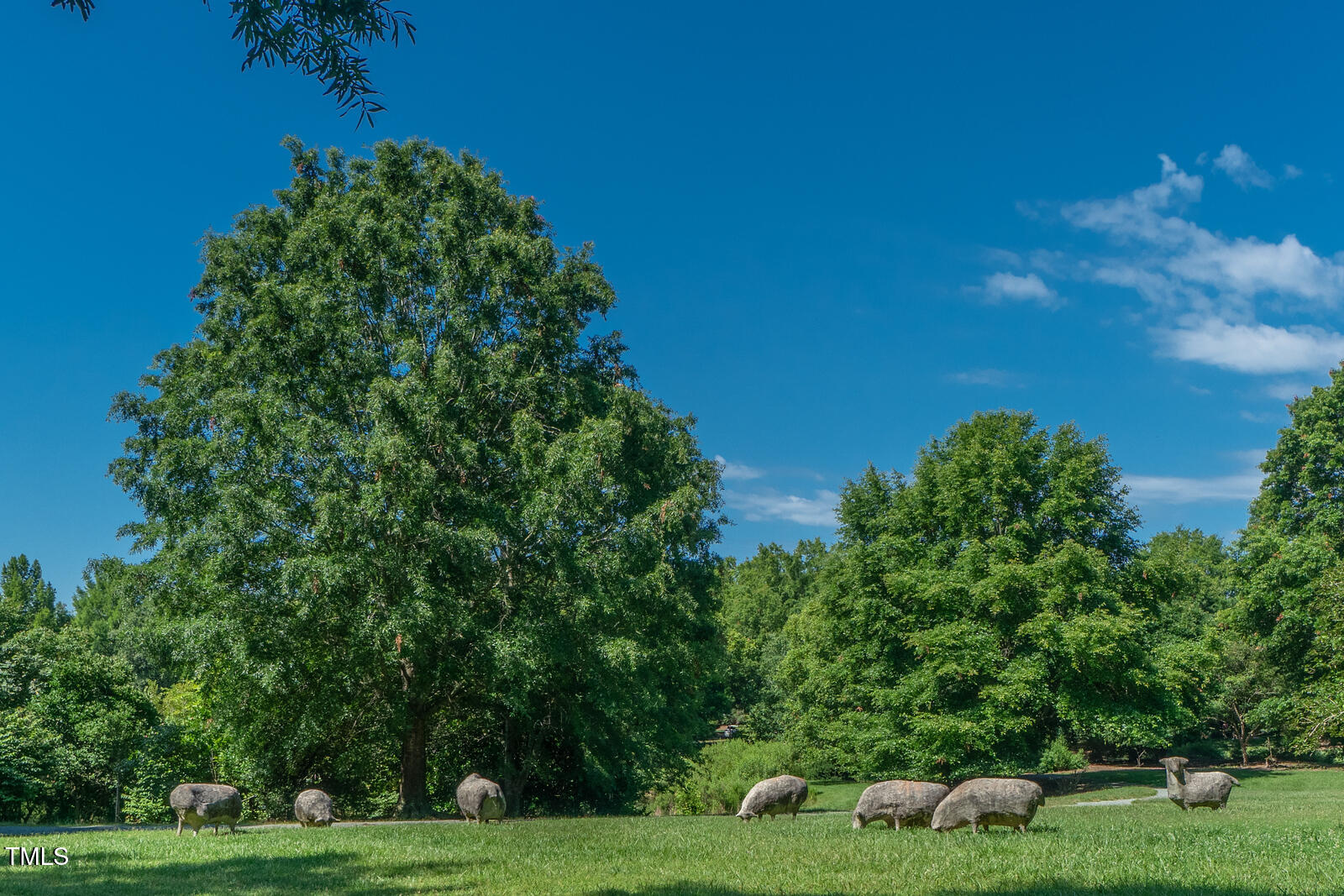 4331 Millcreek Circle Pittsboro, NC 27312 - Photo 53 of 56 a garden with trees in the background