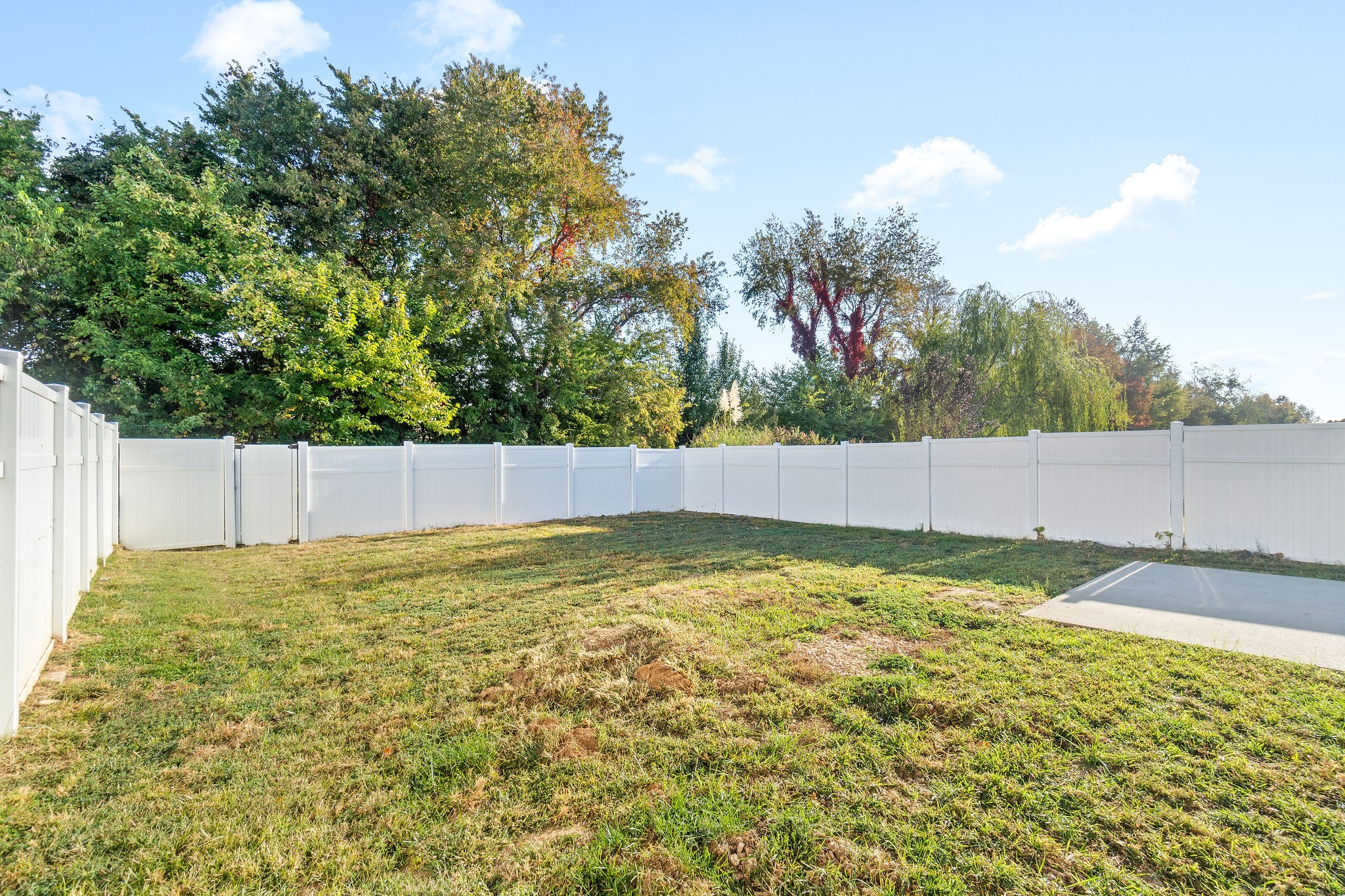 3815 Harvest Ridge Clarksville, TN 37040 - Photo 22 of 24 a view of a backyard