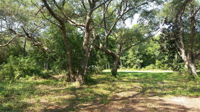 11000 Collins Lane Foley, AL 36535 - Photo 1 of 1