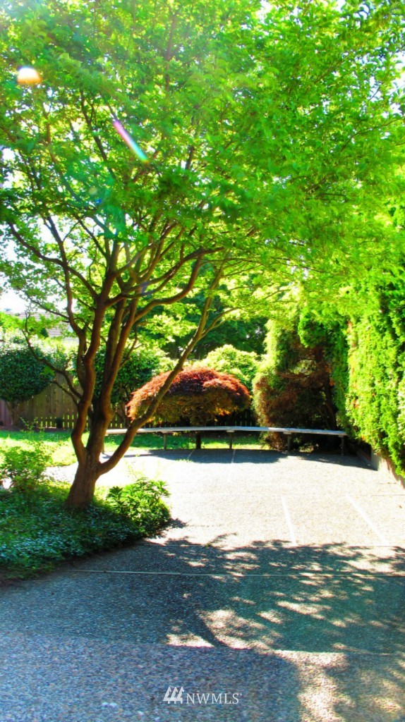 3015 West Viewmont Way West Seattle, WA 98199 - Photo 4 of 15 a view of a yard with a tree