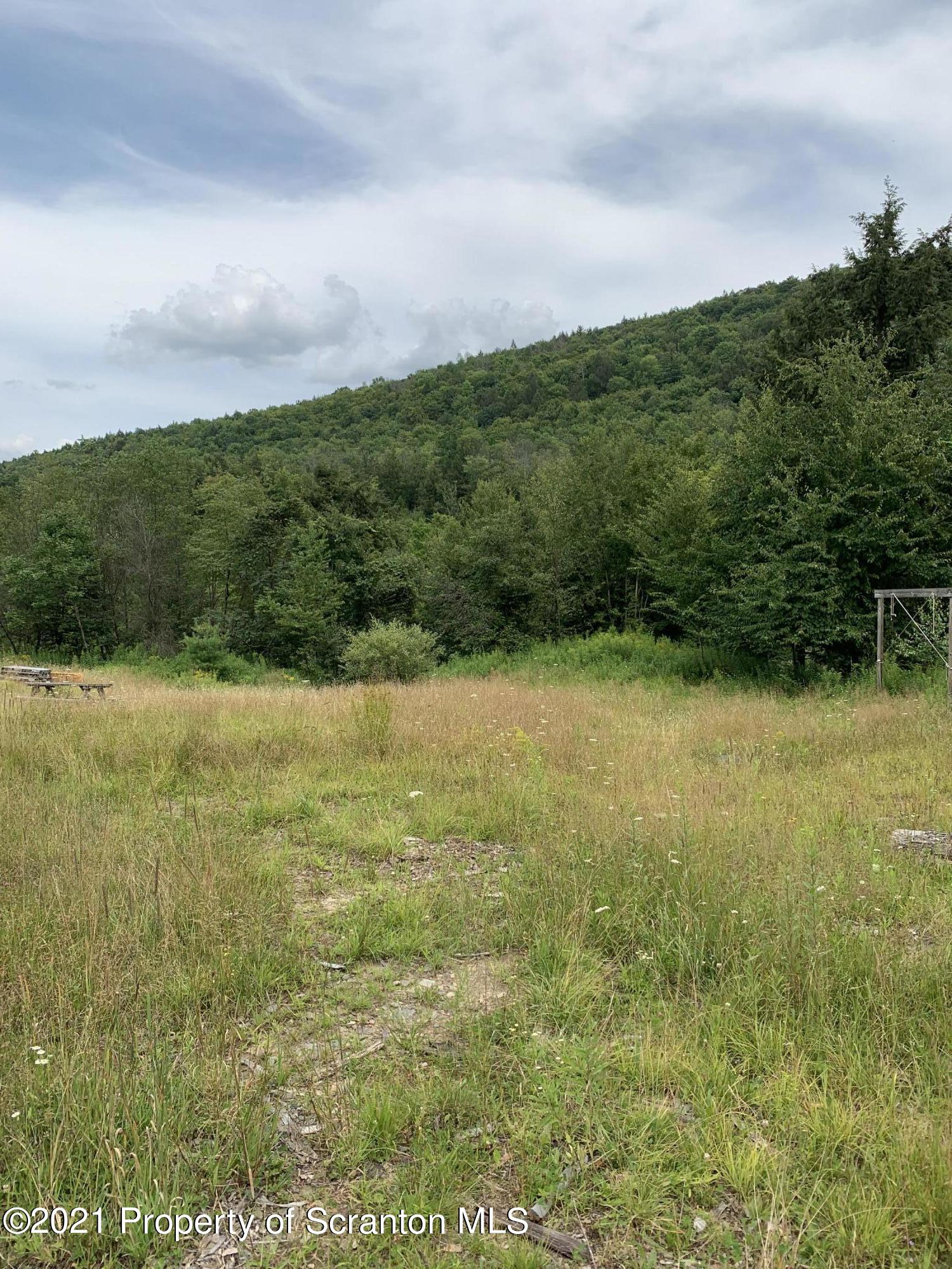 0 Steam Hollow Road Hallstead, PA 18822 - Photo 2 of 8 a view of a field with an ocean
