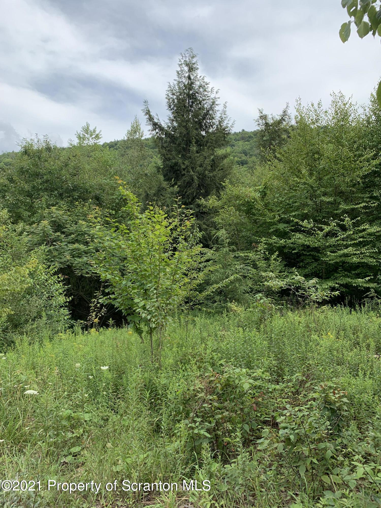 0 Steam Hollow Road Hallstead, PA 18822 - Photo 4 of 8 a view of a lush green space