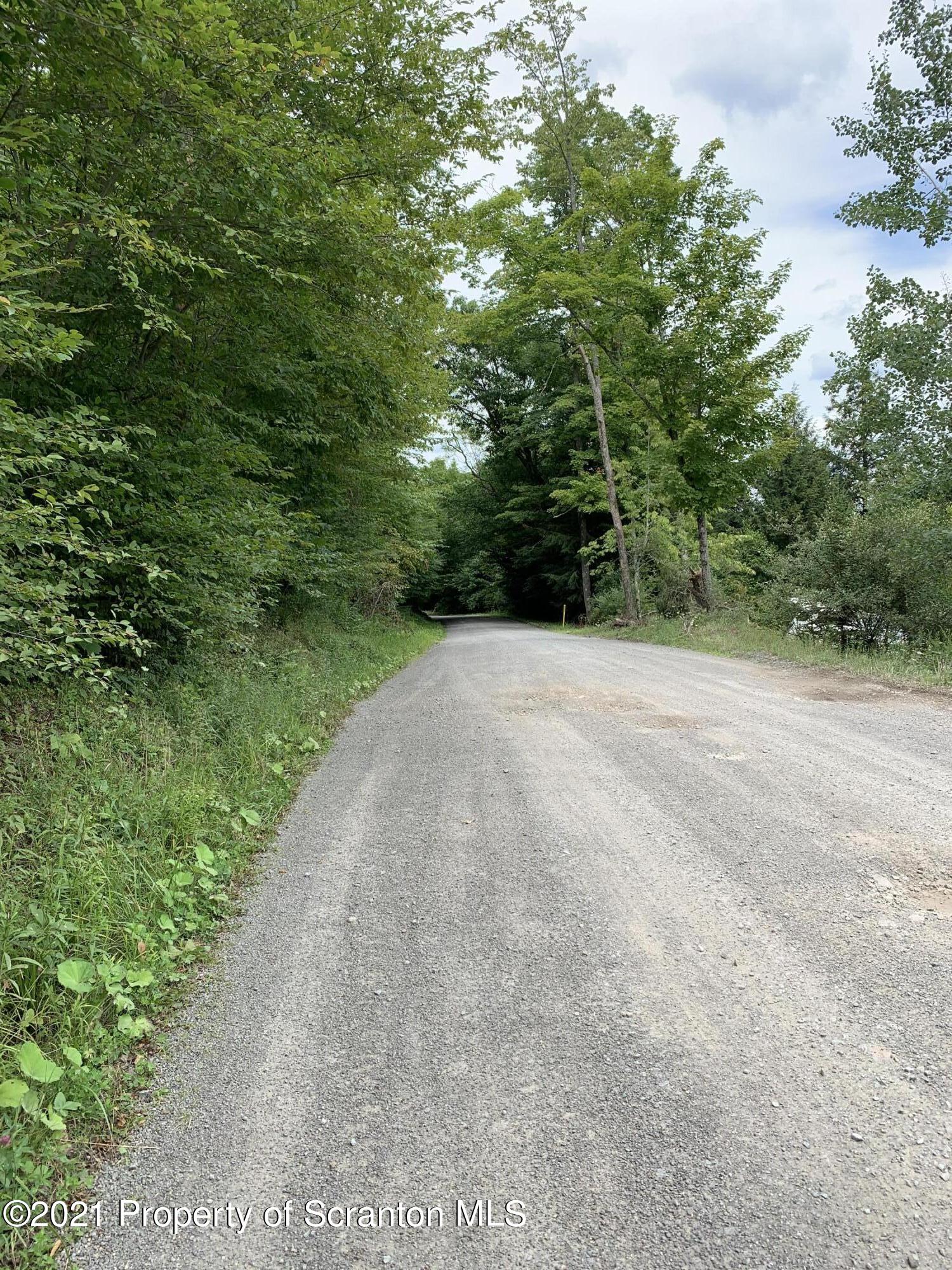 0 Steam Hollow Road Hallstead, PA 18822 - Photo 6 of 8 a view of a road with trees in the background