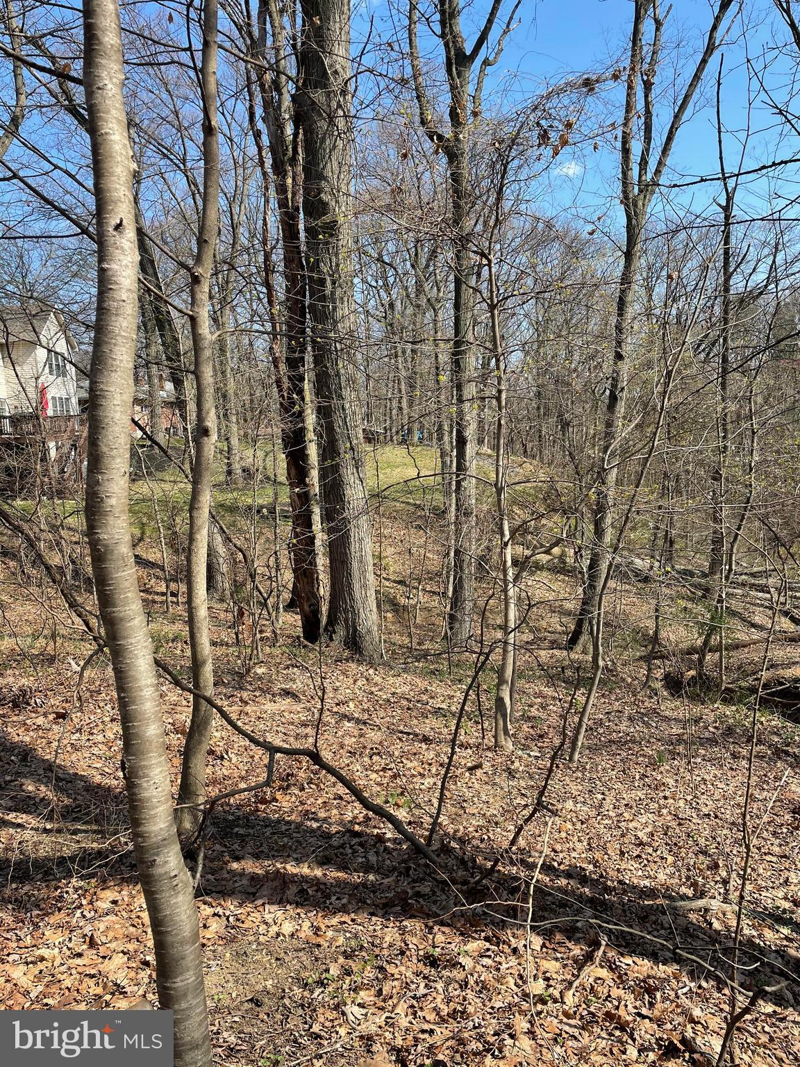 Lot 0 Conway Road Harrisburg, PA 17111 - Photo 2 of 6 Gallery Image 2