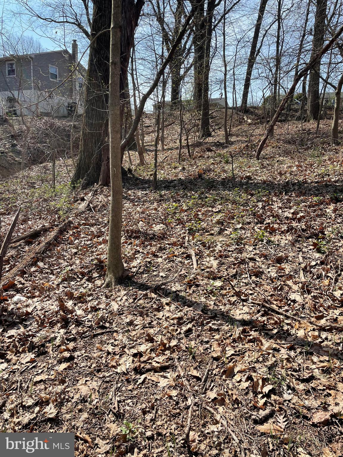 Lot 0 Conway Road Harrisburg, PA 17111 - Photo 5 of 6 Gallery Image 5
