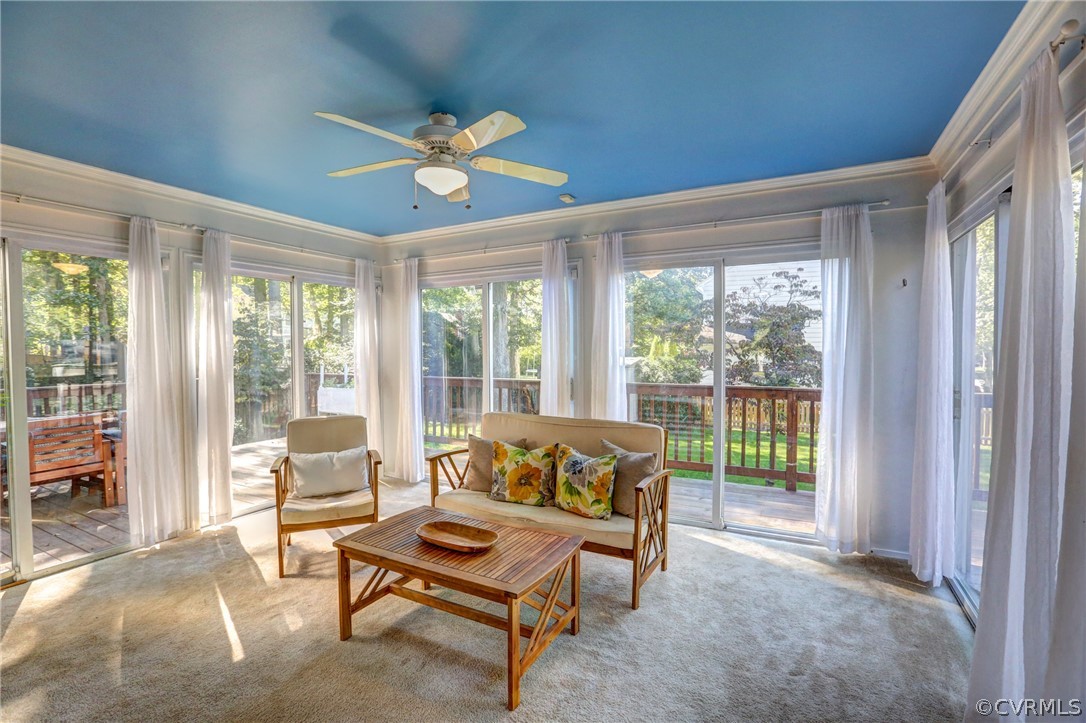 718 Watch Hill Road Midlothian, VA 23114 - Photo 24 of 50