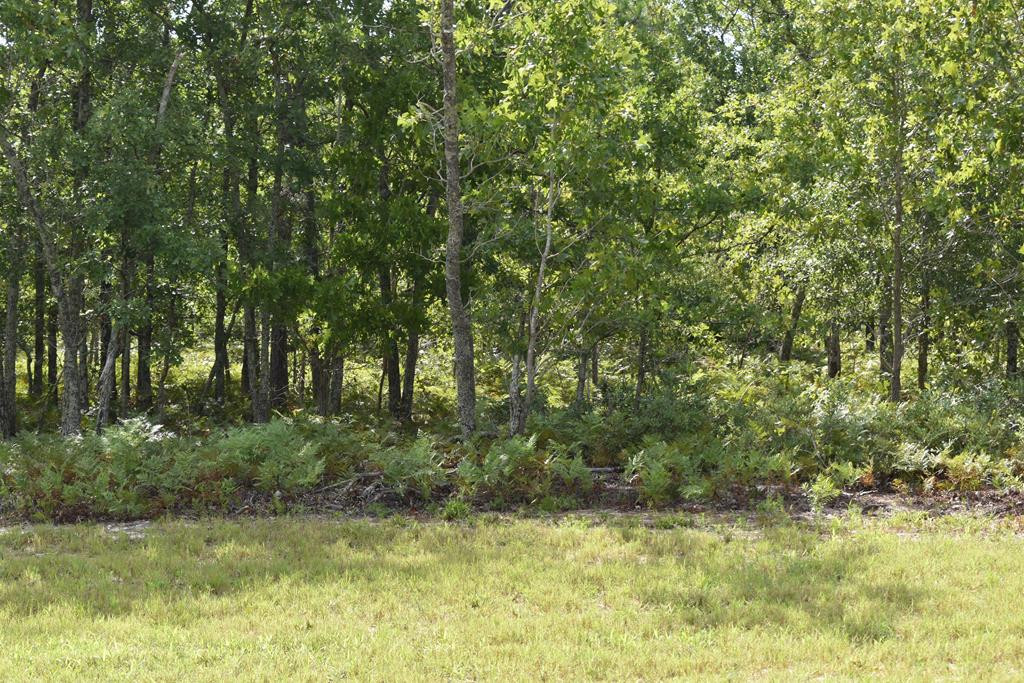 Lot 3 Centerwood Road Windsor, SC 29856 - Photo 5 of 7