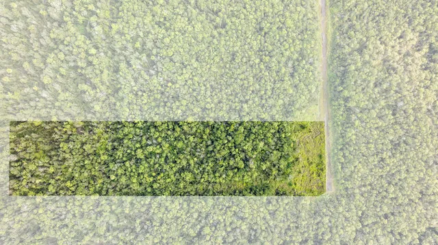 a view of a lake with houses in the background