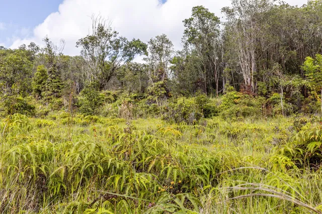 a view of lake with green space