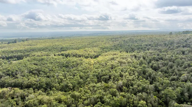 $108,999 | 18-1854 Lot 31 Kuahiwi Rd Mountain View, Mountain View, HI 96771