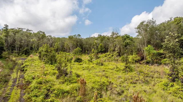 a view of an ocean and beach