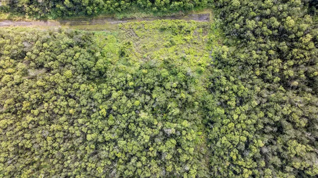 a view of a lake with plants and trees all around