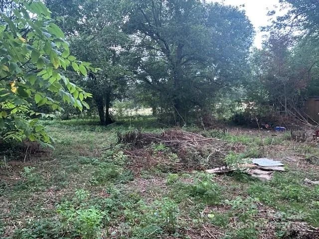 a view of a backyard with plants and large trees