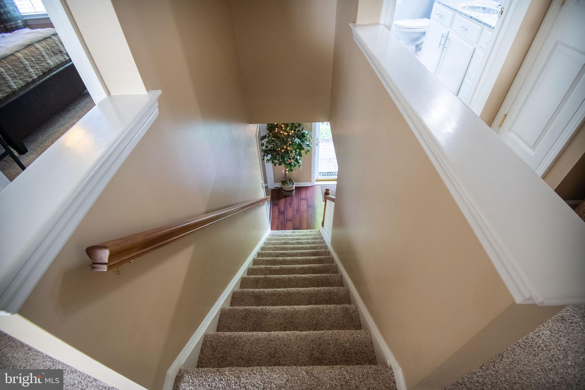2359 Friesian Road York, PA 17406 - Photo 45 of 51 Gallery Image 45