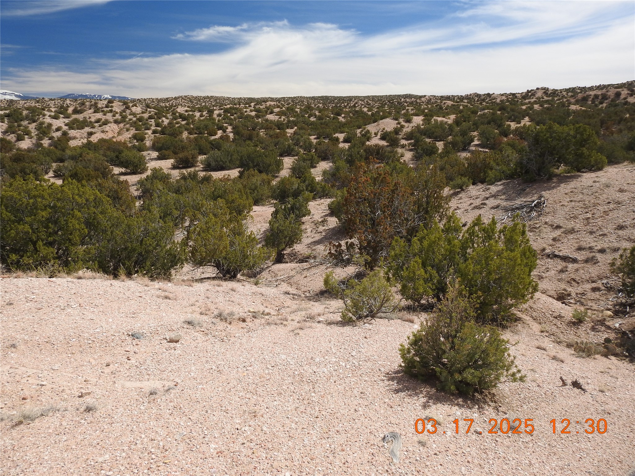 0 Wildass Road Santa Fe, NM 87506 - Photo 23 of 26