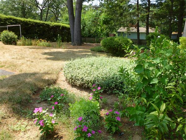 49 Clematis Road Agawam, MA 01001 - Photo 4 of 10 Gallery Image 4