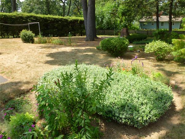 49 Clematis Road Agawam, MA 01001 - Photo 5 of 10 Gallery Image 5