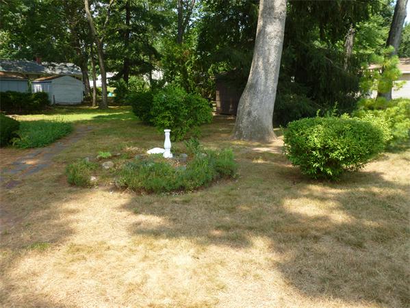 49 Clematis Road Agawam, MA 01001 - Photo 6 of 10 Gallery Image 6