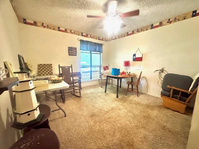 23319 Peninsula Point Frankston, TX 75763 - Photo 13 of 28