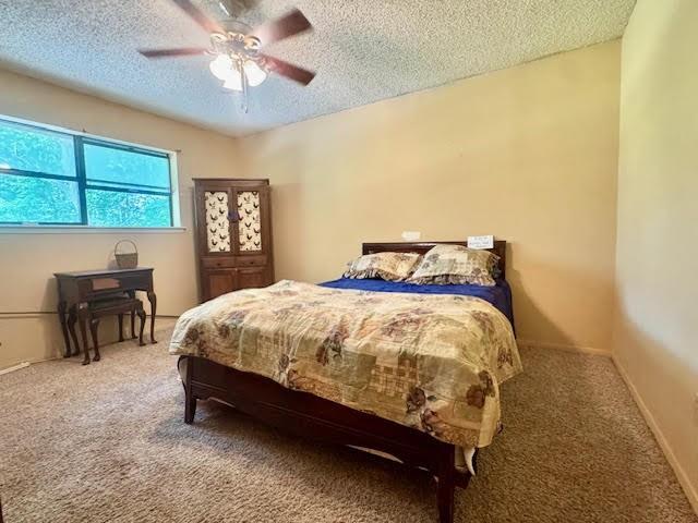 23319 Peninsula Point Frankston, TX 75763 - Photo 15 of 28