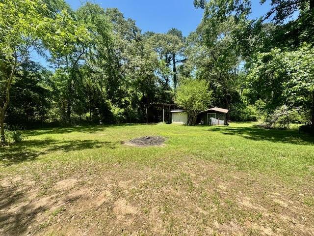 23319 Peninsula Point Frankston, TX 75763 - Photo 25 of 28 Back yard