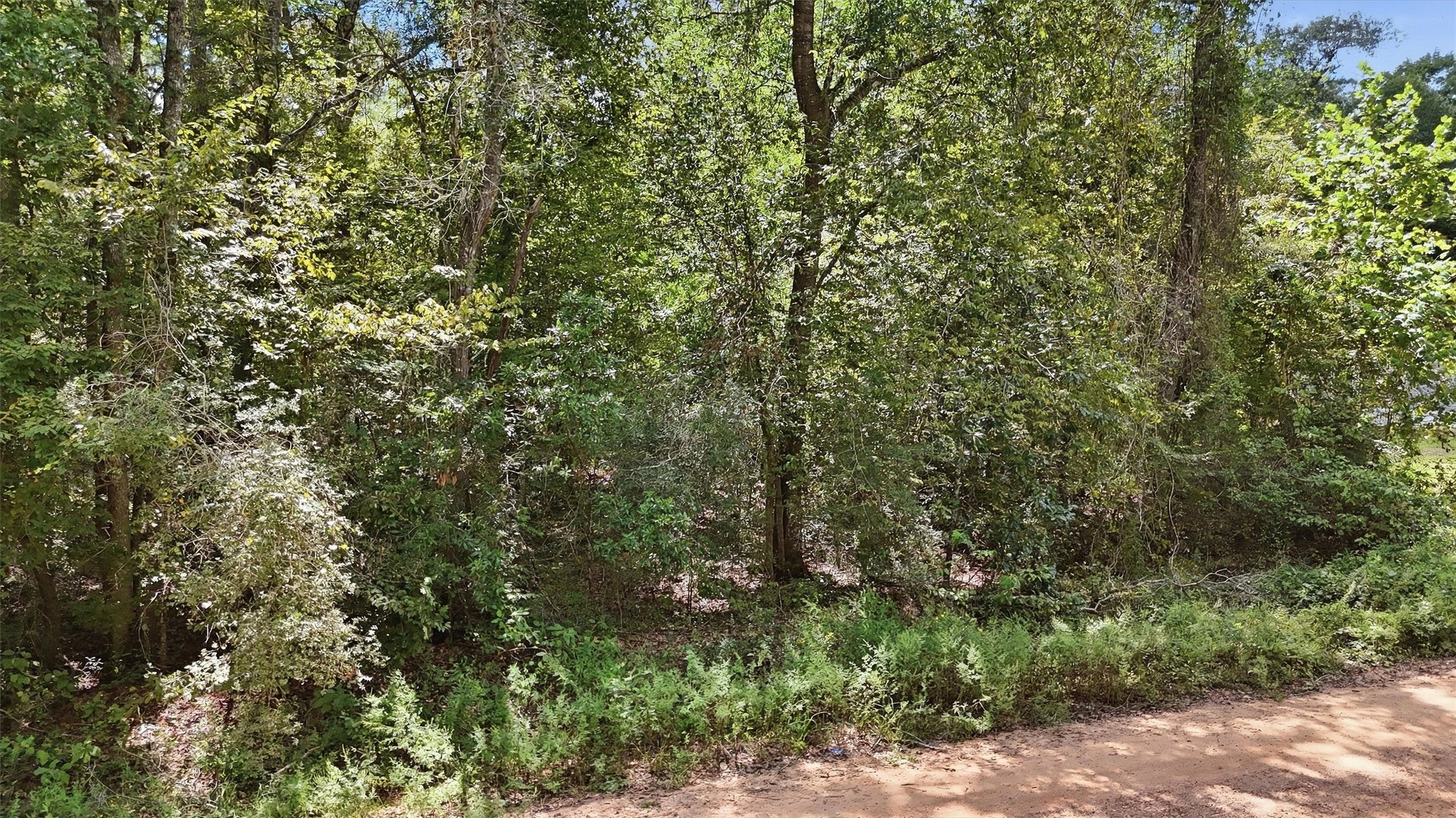 0 Josephine Road Livingston, TX 77351 - Photo 15 of 17 Gallery Image 15