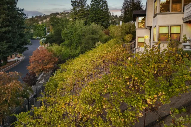 $3,700,000 | 13 Kemp Court, Alamo, CA 94507