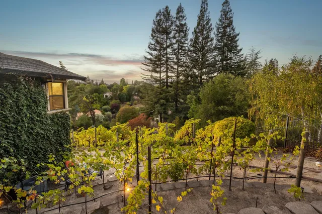 $3,700,000 | 13 Kemp Court, Alamo, CA 94507