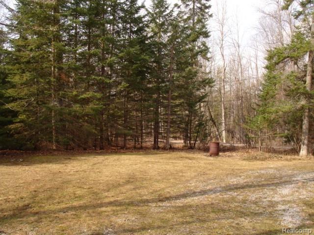 4476 Weeks Bay Road Hubbard Lake, MI 49747 - Photo 20 of 22 property.jpg