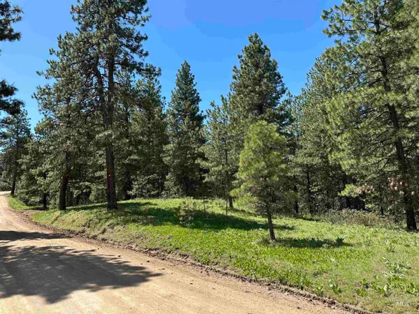 $165,000 | Tbd Cruickshank Road, Horseshoe Bend, ID 83629